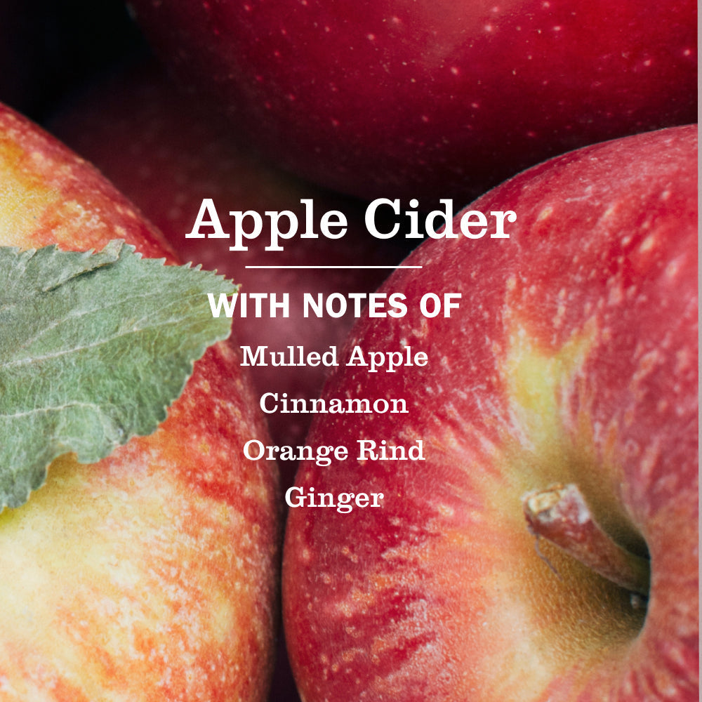 Mrs. Meyer's Apple Cider Liquid Hand Soap 3-count Bundle