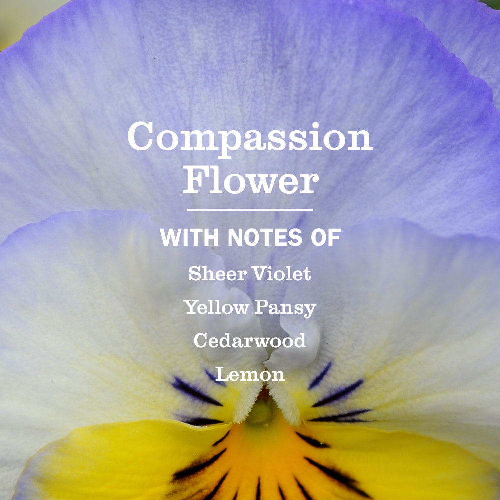 Compassion Flower Liquid Hand Soap | Mrs. Meyer's